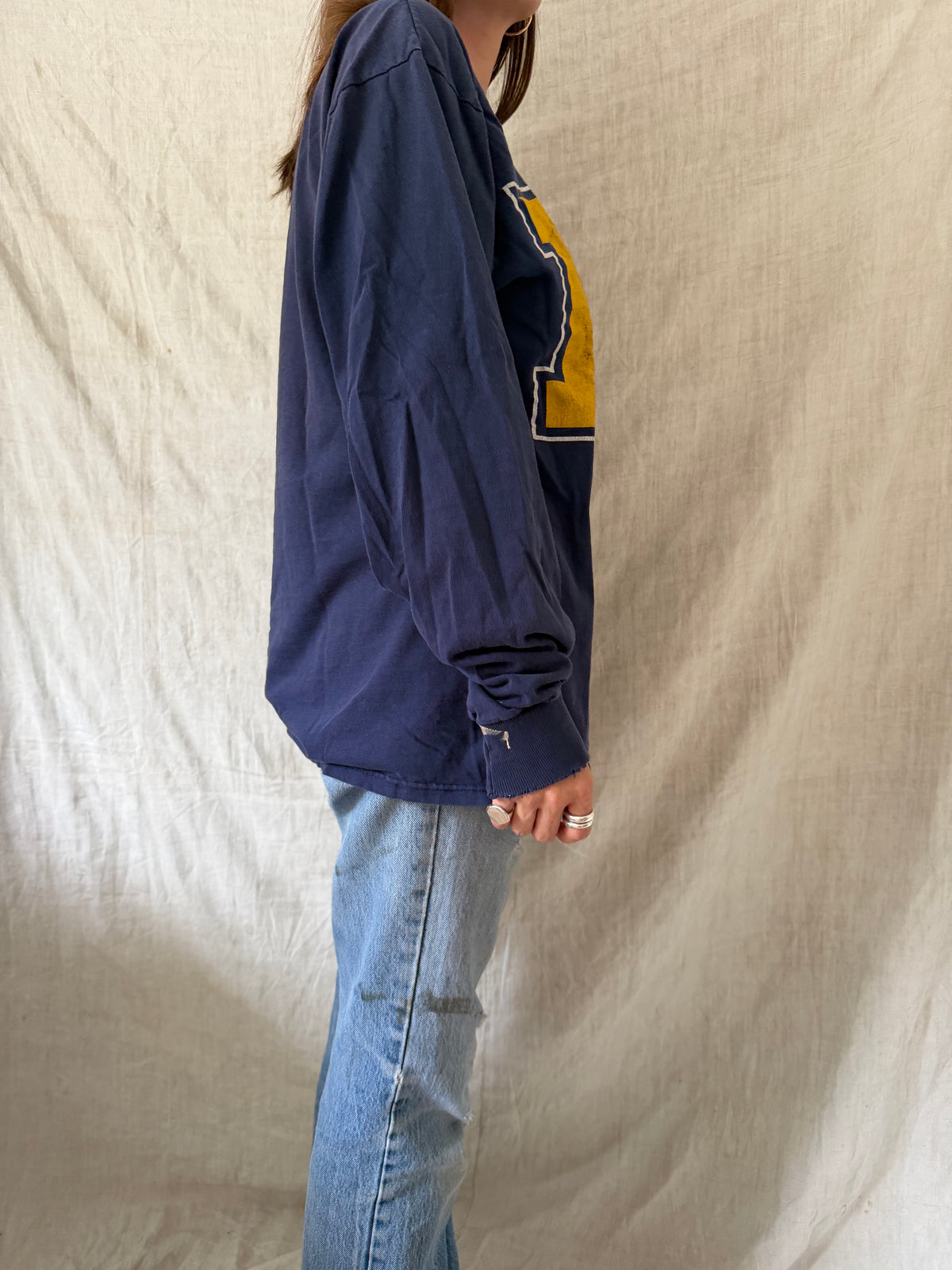 Distressed Michigan Longsleeve