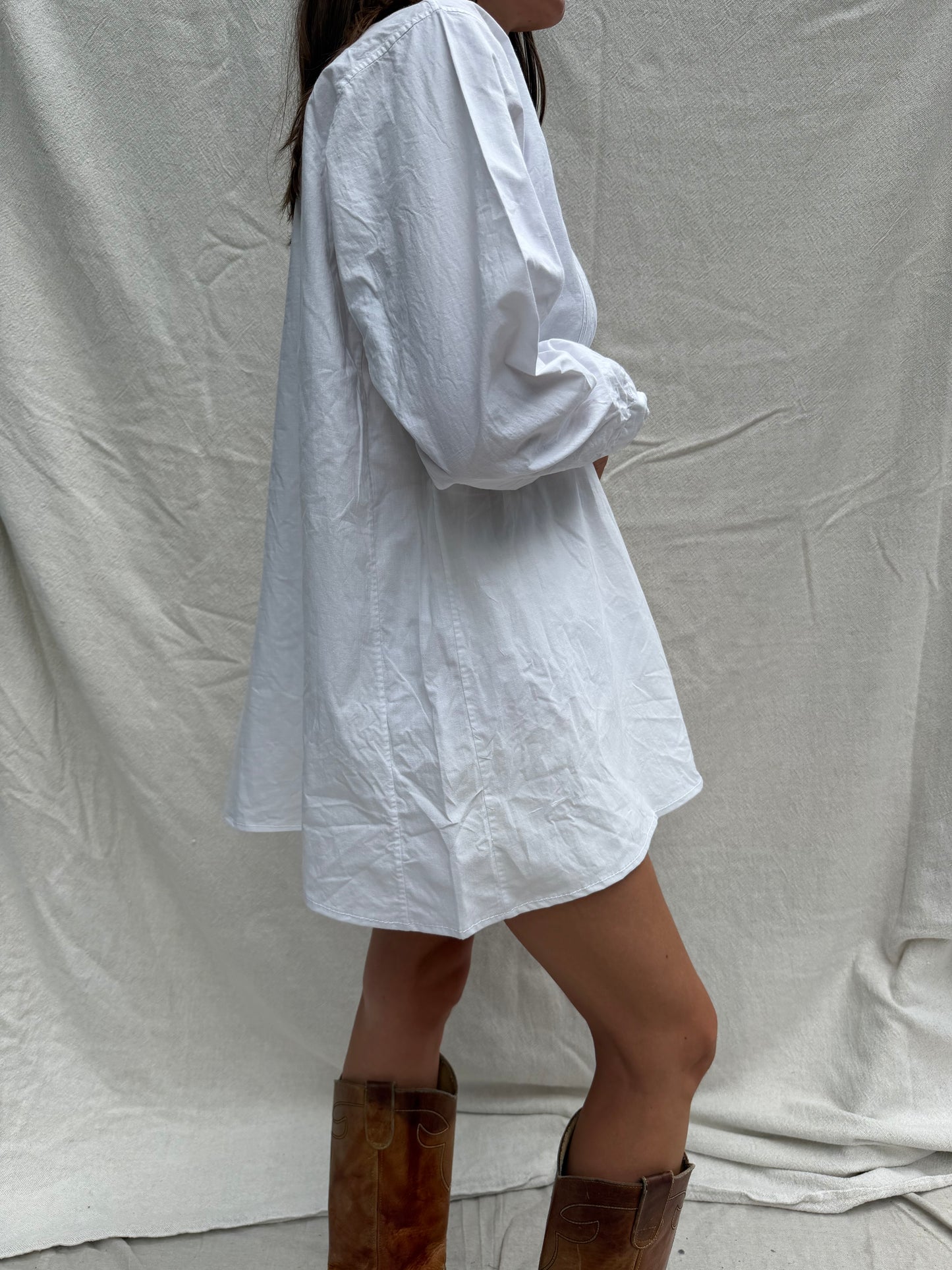 Antique Italian Dress 03